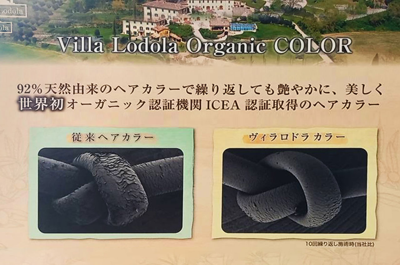 Villa Lodolaイメージ