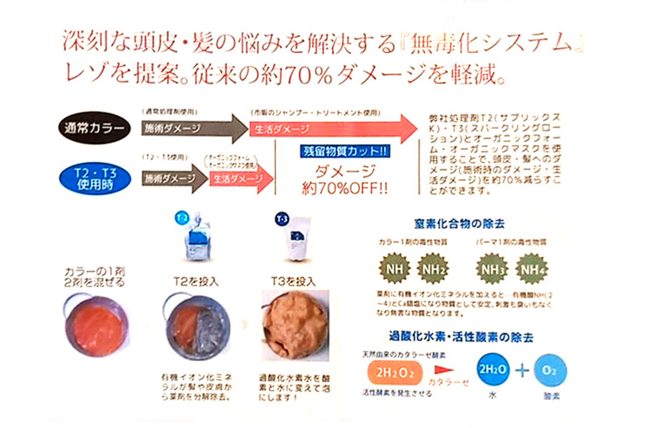 無毒化システム レゾ